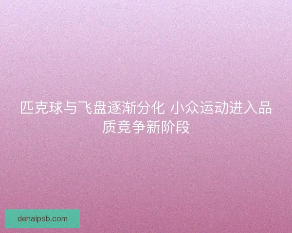 匹克球与飞盘逐渐分化 小众运动进入品质竞争新阶段